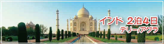 インド(デリー/ アグラ)2泊4日