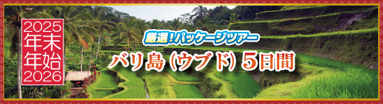 バリ島（ウブド）5日間 / 年末年始パッケージツアー＜2025-2026＞