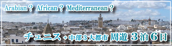 チュニス+中部3大都市周遊 3泊6日